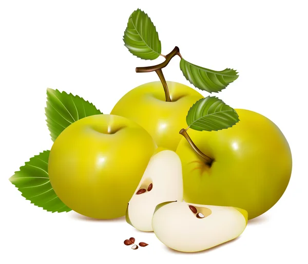 Gröna äpplen. — Stock vektor