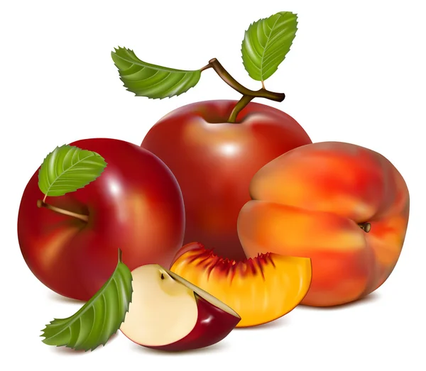 Röda äpplen och mogna persikor — Stock vektor