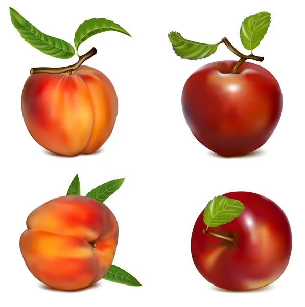 Conjunto vectorial de manzanas rojas y melocotones maduros — Archivo Imágenes Vectoriales