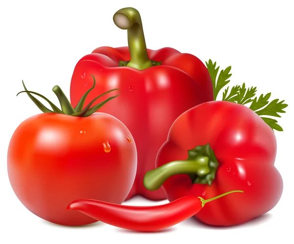 Rotes Gemüse mit Petersilie — Stockvektor