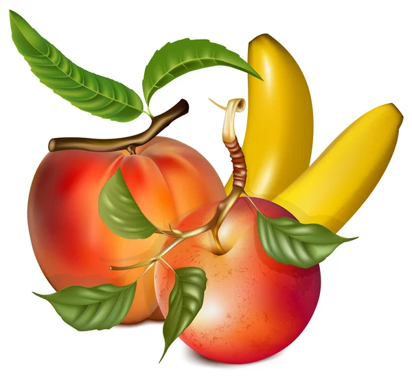 Vektorillustration von Früchten. — Stockvektor