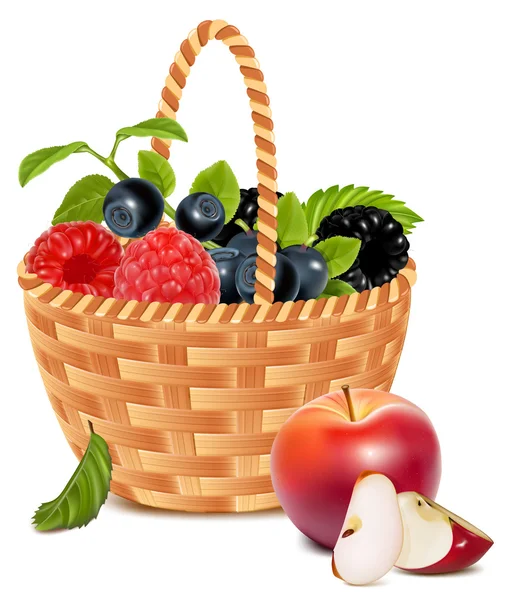 Ripe forest berries in the basket and red apples. — Stock Vector