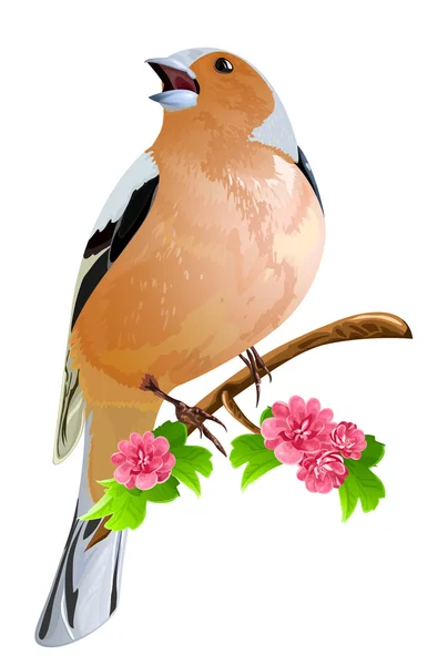 Pták na kvetoucí větev. — Stockový vektor