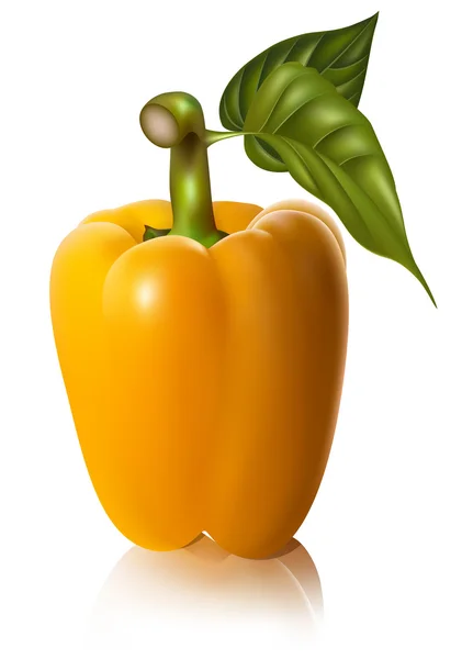 Gelbe Paprika mit Blättern — Stockvektor