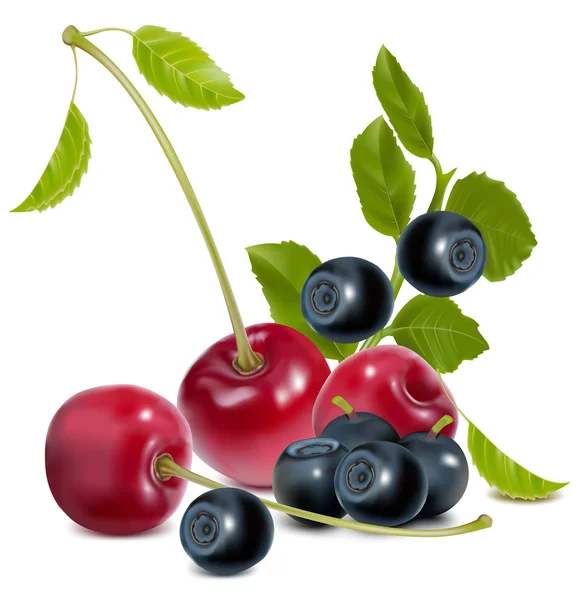 Photo-realistic vector of cherries and blueberries with leaves — Stock Vector