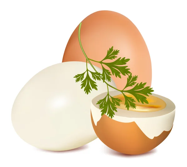 Vector. Huevo cocido marrón sobre fondo blanco . — Vector de stock