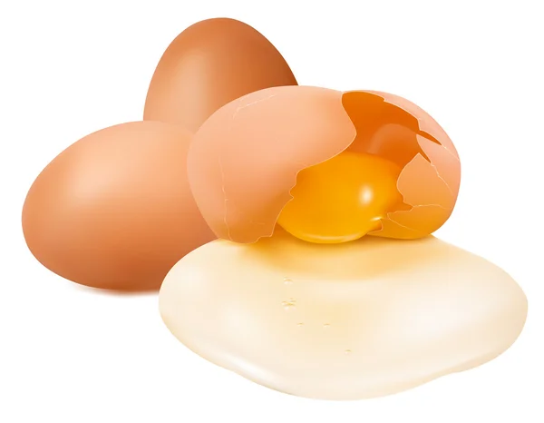 Vettore foto-realistico dell'uovo — Vettoriale Stock