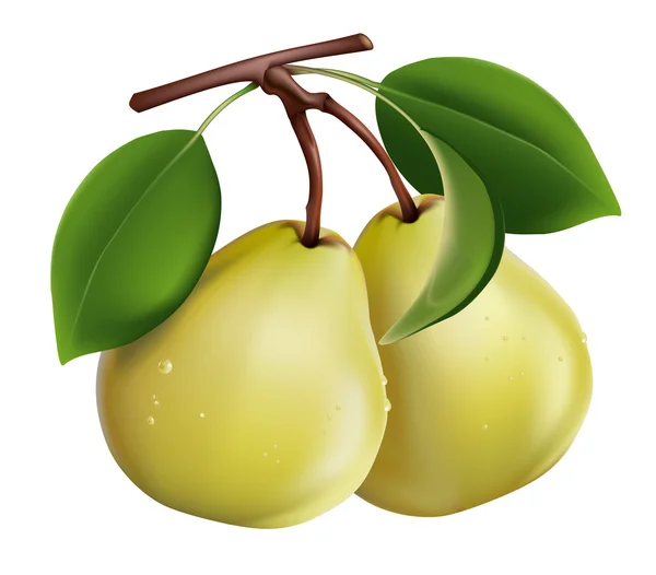 Päron med gröna blad och droppar vatten — Stock vektor