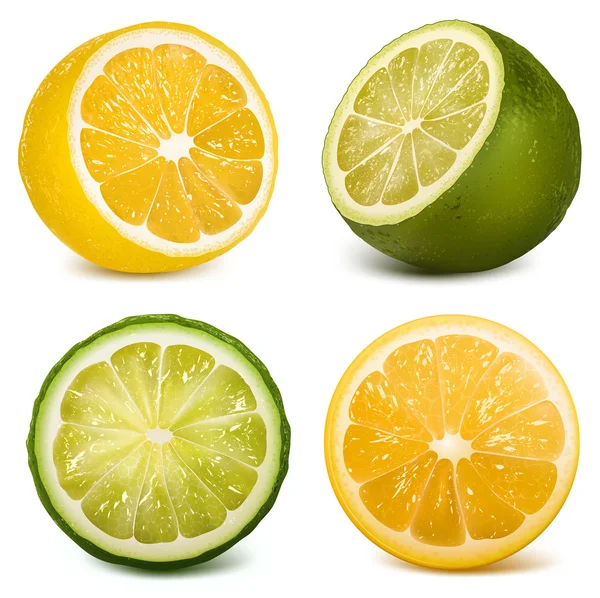 矢量柑橘类水果石灰和柠檬 — 图库矢量图片