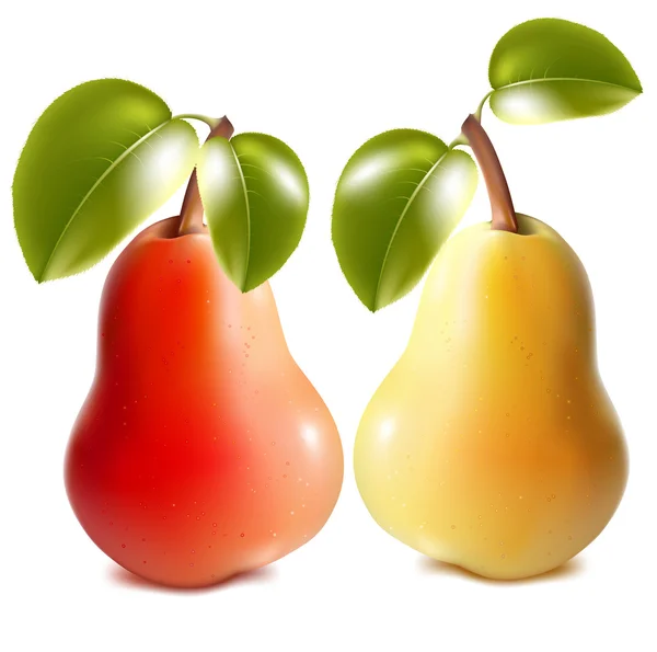 Rijp rood en groen peren met groene bladeren. — Stockvector