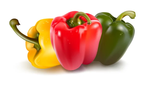 Farve peberfrugter med løg . – Stock-vektor