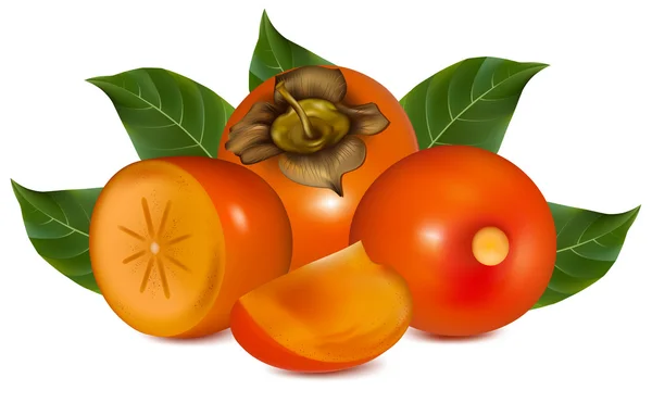 Persimmon with leaves. — Stock Vector