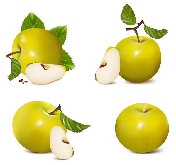 Conjunto de maçãs verdes . — Vetor de Stock