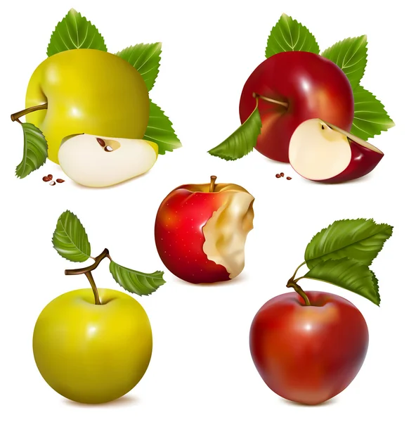 Conjunto de maçãs vermelhas e verdes. — Vetor de Stock