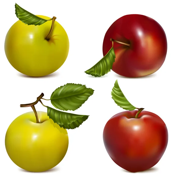 Set aus roten und grünen Äpfeln. — Stockvektor