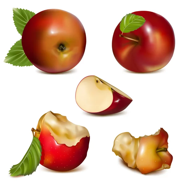 Conjunto de manzanas rojas — Vector de stock