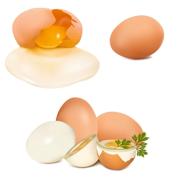 Photo-realistic vector of egg. — Stock Vector
