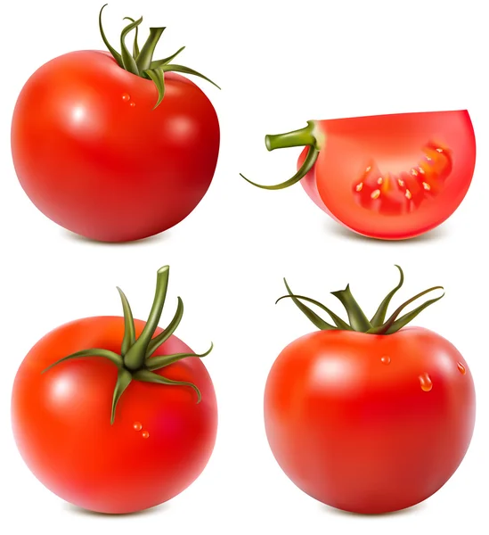 Pomodori. — Vettoriale Stock