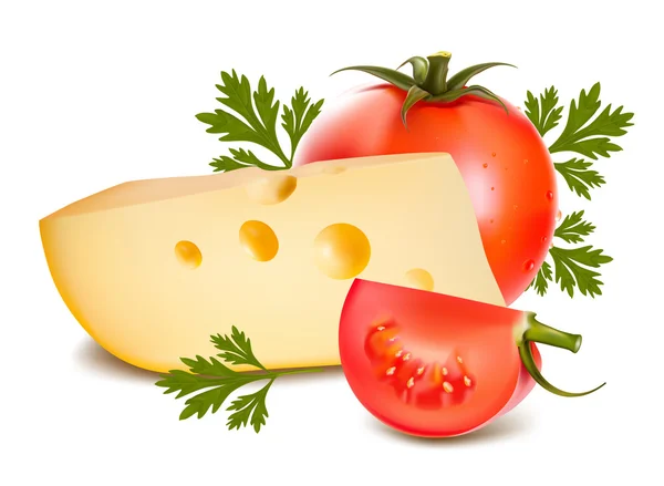 Photo-realistic vector illustration. Cheese — Stock Vector
