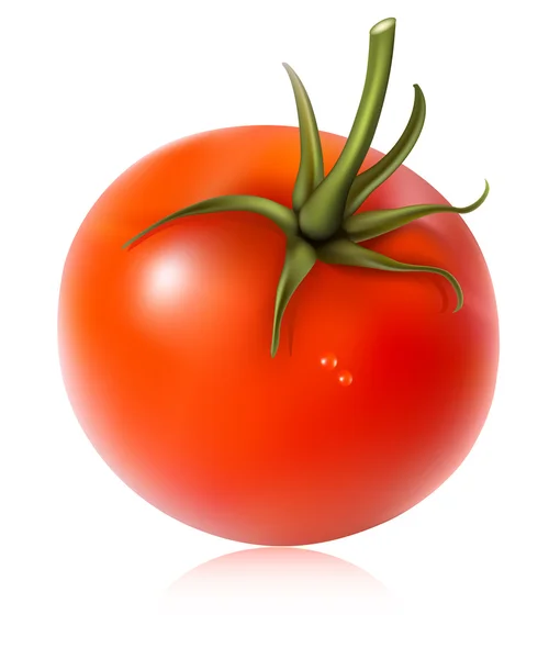 Tomat dengan tetes air - Stok Vektor