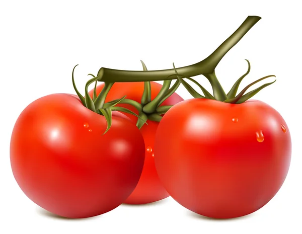 番茄与水滴 — 图库矢量图片