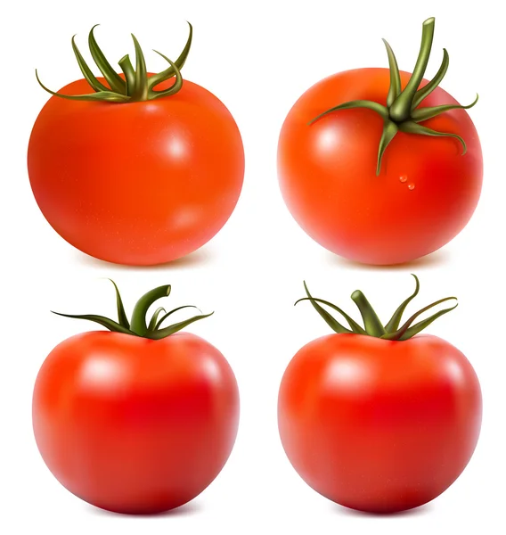 Tomat dengan tetes air - Stok Vektor