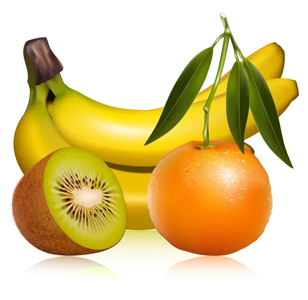 Fresh tangerine fruits with green leaves, banana and ripe kiwi. — Stock Vector