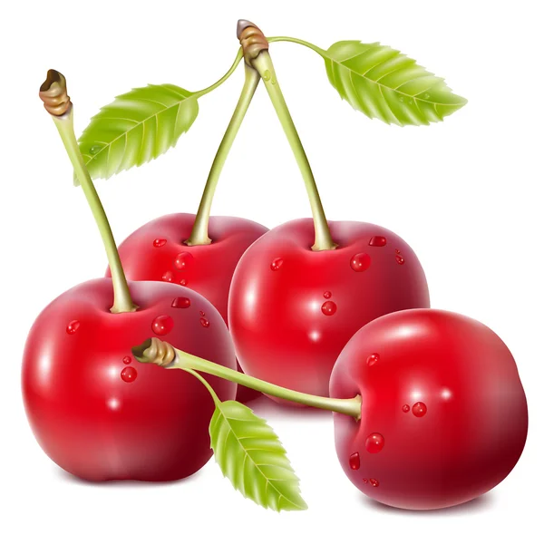 197,360 Cherry Vectors, Royalty-free Vector Cherry Images | Depositphotos®