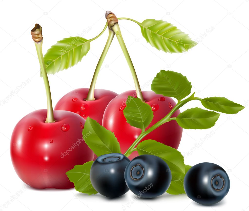 Photo-realistic vector of cherries and blueberries with leaves.