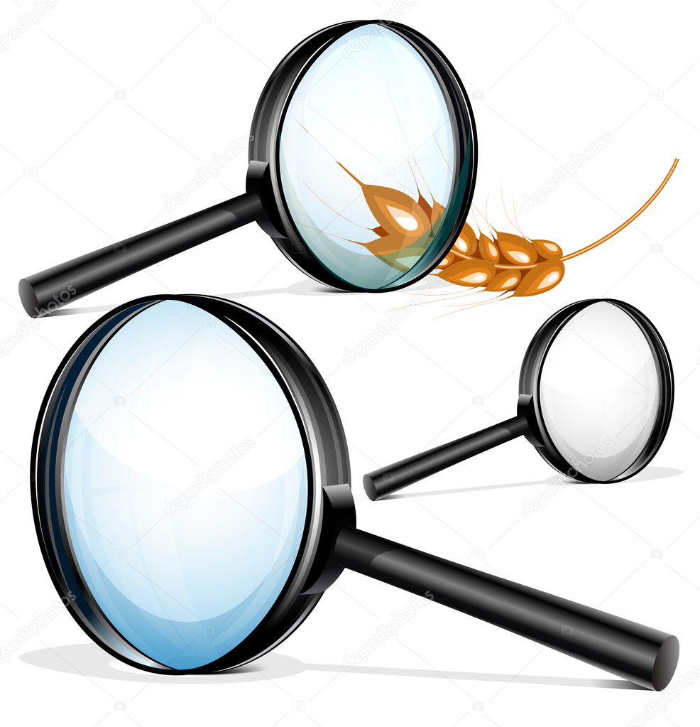 Vector magnifying glass.