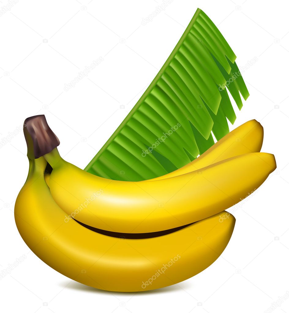 Ripe yellow bananas with leaves
