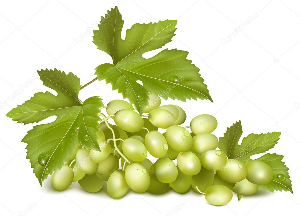 Green grapes with leaves.