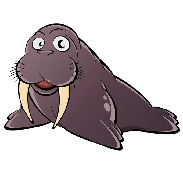 Funny cartoon walrus — Stock Vector