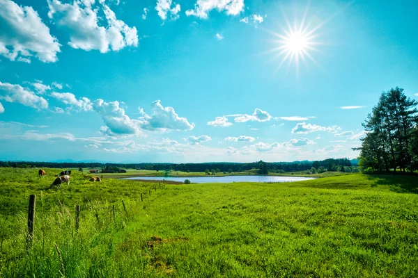 stock image Green Field Landscape with Lake