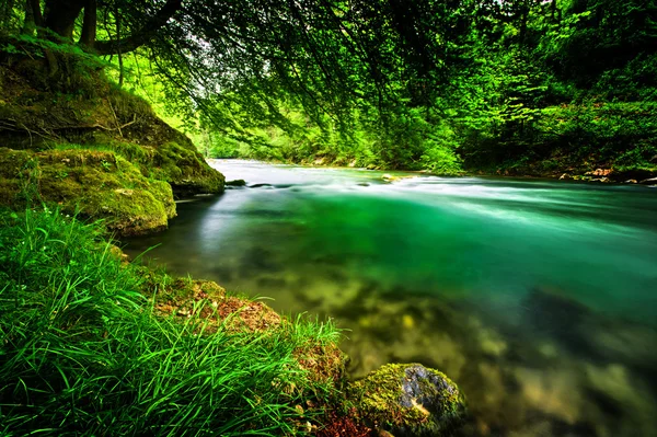 Smaragdová zelená řeka — Stock fotografie