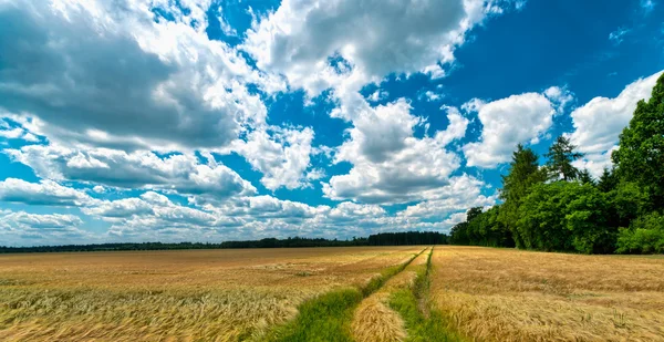Wolken und Schatten tanzen auf Feldern — Stockfoto