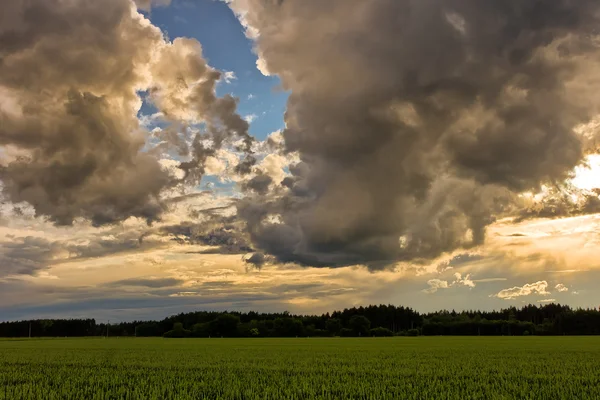 stock image Giant Cloud - Thunderstorm coming