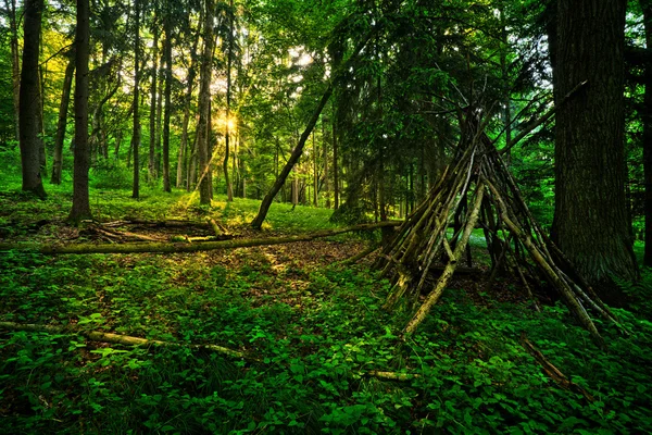 Kid´s Wigwam in Fairytale Forest — Stock Photo, Image