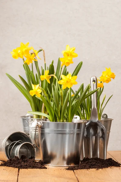 Vårens plantering — Stockfoto