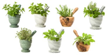 Set Of Garden Herbs clipart