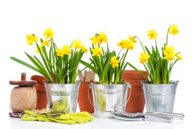 Spring Planting clipart