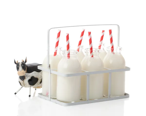 Caisse de lait avec vache — Photo
