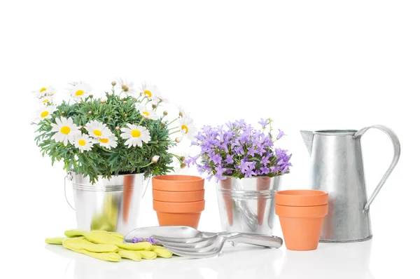 Plantio de primavera com ferramentas — Fotografia de Stock