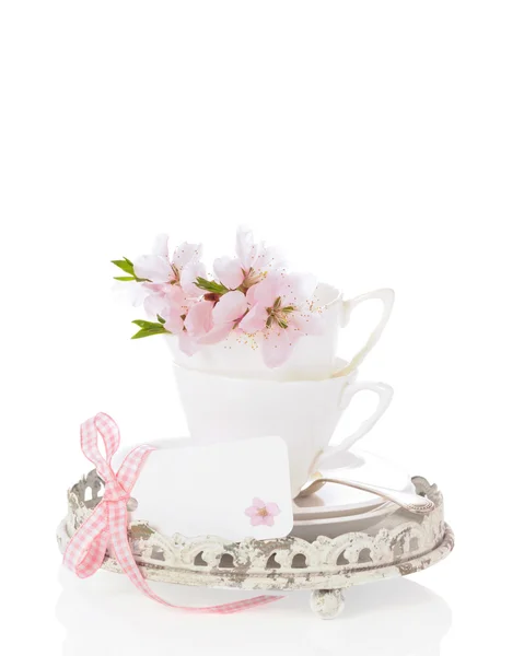 Virág csésze & csészealjak — Stock Fotó