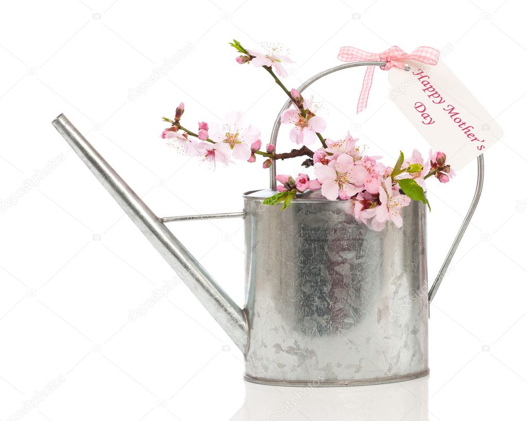 Mothers Day Watering Can