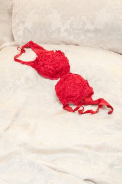 Red Bra clipart