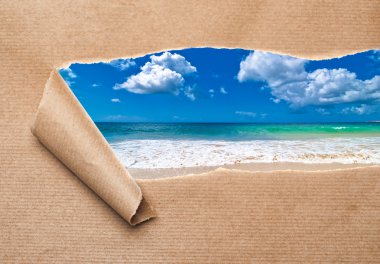 Summer Beach Revealed clipart