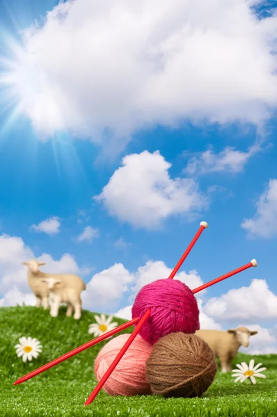 Fils à tricoter avec moutons — Photo