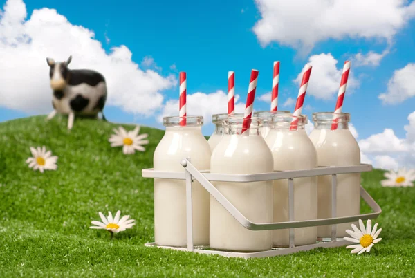 Krat van melkflessen — Stockfoto