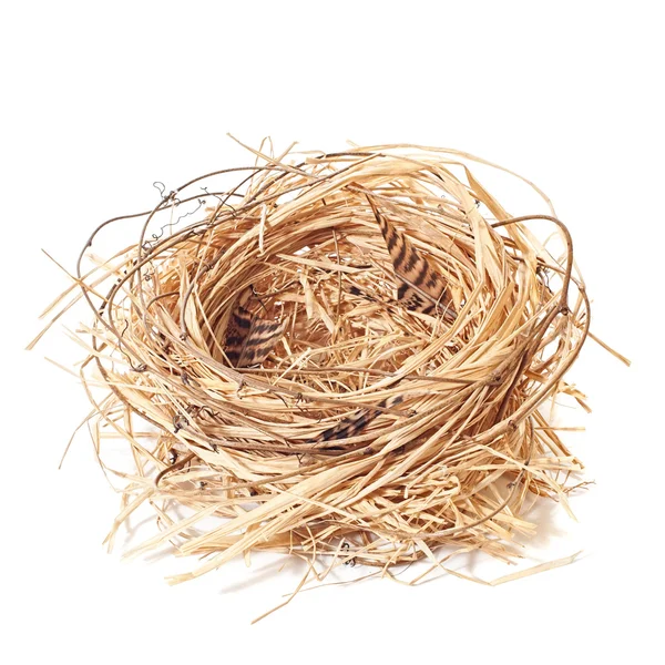 Empty Nest — Stock Photo, Image